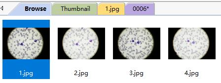 ToupTek Photonics