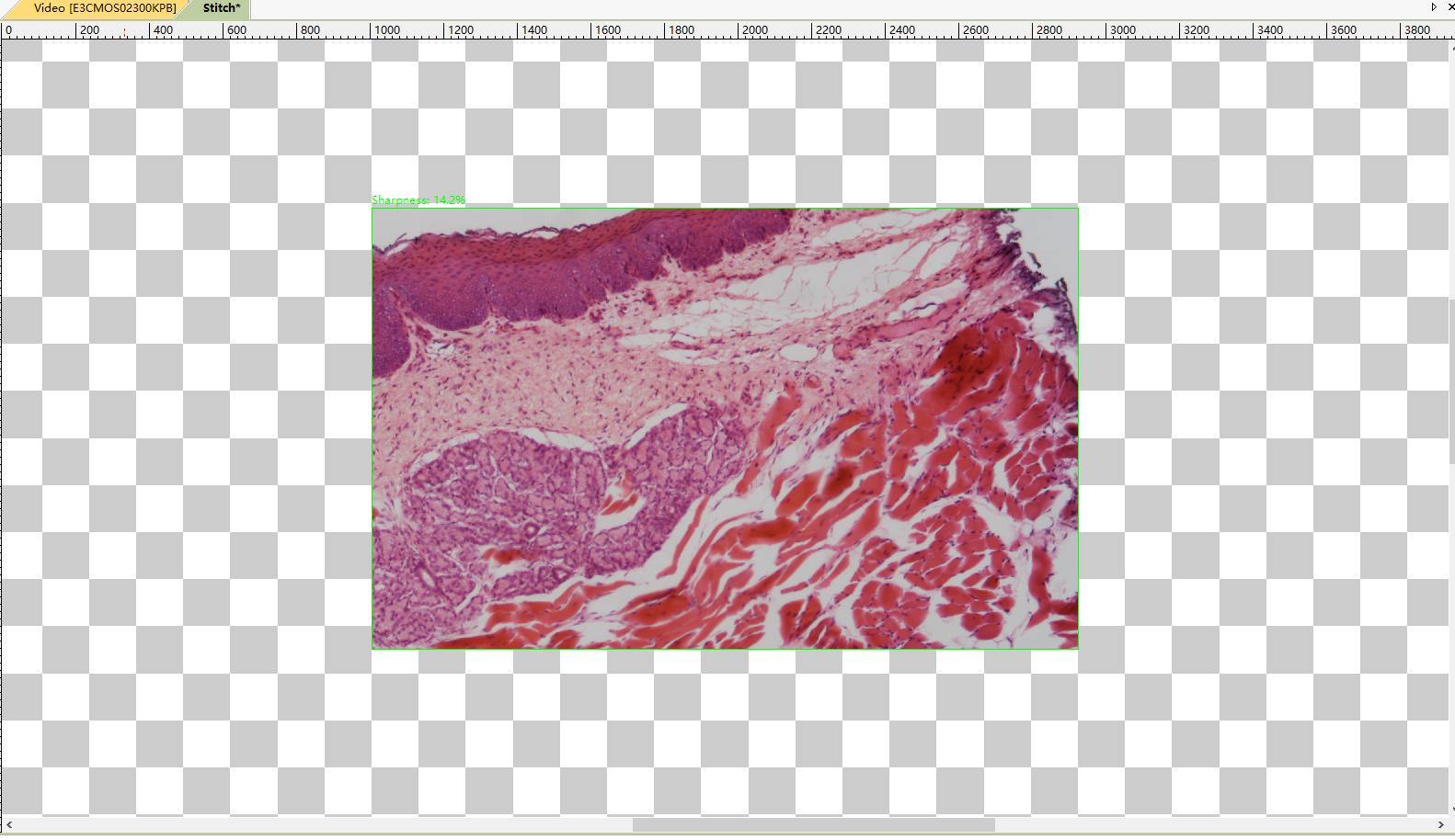 ToupTek Photonics