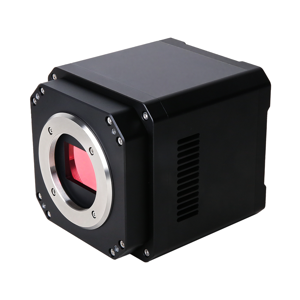 MAX (Sony | High Resolution)