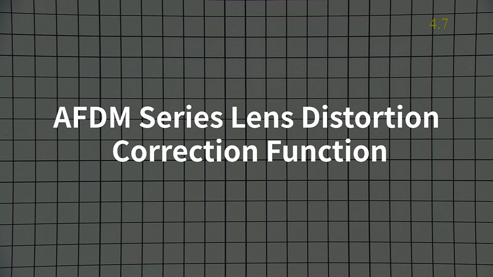 AFDM Lens Distortion Correction Function